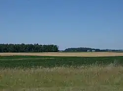 Fields and woods in Pusheta Township