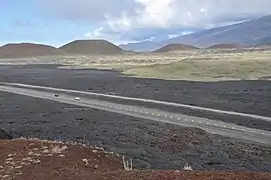 A view toward northwest, showing lava plateau and cinder cones