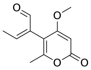 Pyrenocine D