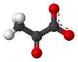 Ball-and-stick model of the pyruvate anion