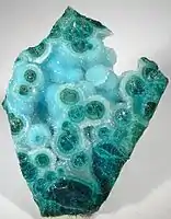 Chrysocolla and quartz specimen from the Live Oak mine above Miami. Live Oak is famous among mineral collectors for this mineral combination.