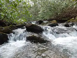 Waterfalls along the Quebec Run stream