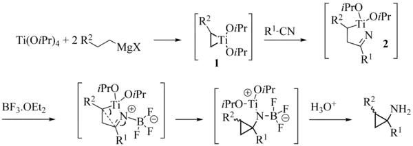 Szymoniak variation reaction mechanism