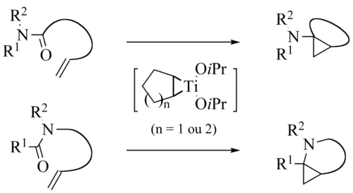 De Meijere variation intramolecular