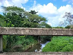 Bucarabones River in Mucarabones