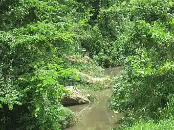 Indio River from Red Bridge (Puente Colorao) in Morovis Norte