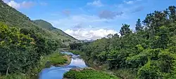 Río de la Plata between Salto (Cidra) and Plata (Aibonito) barrios