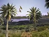 Digital recreation of its ancient landscape, with tropical forest and palm trees