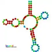 SAM riboswitch:  Secondary structure for the riboswitch marked up by sequence conservation. Family RF00162.