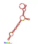 Listeria snRNA rli59: Predicted secondary structure taken from the Rfam database. Family RF01484.