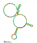 Listeria snRNA rli28: Predicted secondary structure taken from the Rfam database. Family RF01492.