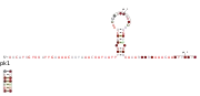 RAGATH-27 Secondary structure taken from the Rfam database. Family RF03100