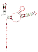 RAGATH-34 Secondary structure taken from the Rfam database. Family RF03103