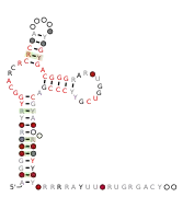 Flavi_TBFV_xrRNA Secondary structure taken from the Rfam database. Family RF03536