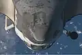 RPM image of Endeavour as taken from ISS