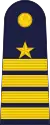 Group Captain