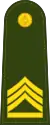 Master Sergeant 1st Class