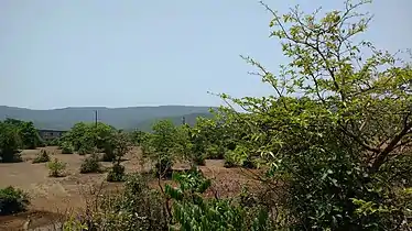 Radhanagri sanctuary from the main road