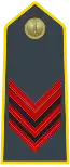 Appointee (Appuntato) (Lance corporal)