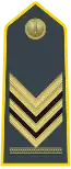 Chief Brigadier special class (Sovrintendenti - Brigadiere Capo qualifica speciale) (Master Sergeant)same insignia as Chief Brigadier with star above chevron