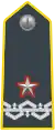 Colonel, temporary Brigadier-General (Brigadier)