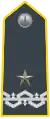 Colonel, acting Brigadier-General (Brigadier)