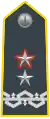 Brigade General (Brigadier-General, temporary Major-General)