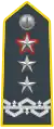 Divisional General (Major-General, temporary Lieutenant-General).