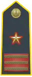 Sub-lieutenant (Ispettore - Luogotenente) (Chief Warrant Officer 5); commands Lieutenant Units (Stations).