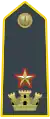 Major, commanding officer