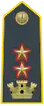 Lieutenant-Colonel, commanding officer