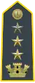 Lieutenant-Colonel, acting Colonel (Senior Lieutenant Colonel)