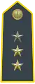 First Lieutenant - Acting Captain