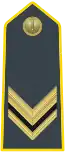 Vice Brigadier (Sovrintendenti - Vice Brigadiere) (Sergeant)