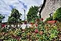 Lindenhof at the gate of the Rapperswil Castle