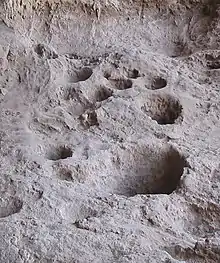 Image 45Rock mortars in Raqefet Cave, used to make beer during the Stone Age. (from History of beer)