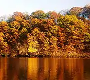 Raritan River at the Fall Line, as seen from Highland Park