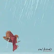 A bird in some rain against a blue background