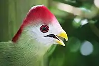 At Brevard Zoo, Florida