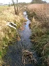 The Red burn in 2009 near the site of the Drukken Steps