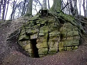 Jurassic rock on the Reineberg