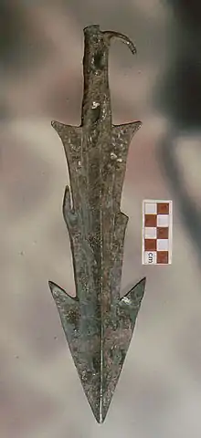 Indian Copper hoard artifact from Rewari, Haryana is probably not a use-object but more likely had a religious function.