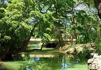 Río Camuy with pedestrian bridge