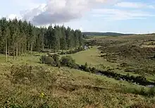 The River East Dart at Bellever looking upstream.  Forestry Commission land on the left, open moorland on the right