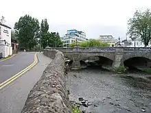 The Dodder at Ballsbridge