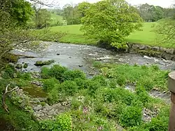 A small river flowing past meadows and trees, sheep grazing in distance