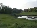 River and green landscape of Janakpur