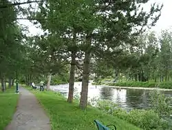 Salmon Fishermen on the pit "The Forks" (Les Fourches)