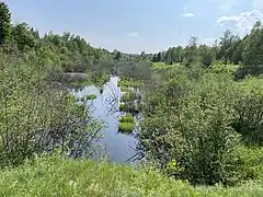 Rang du Haut-de-la-Grande-Ligne