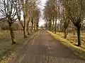 Road towards Bridvaišis lake on autumn